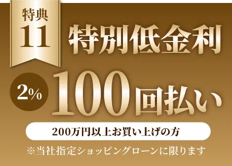 特別低金利2%100回払い